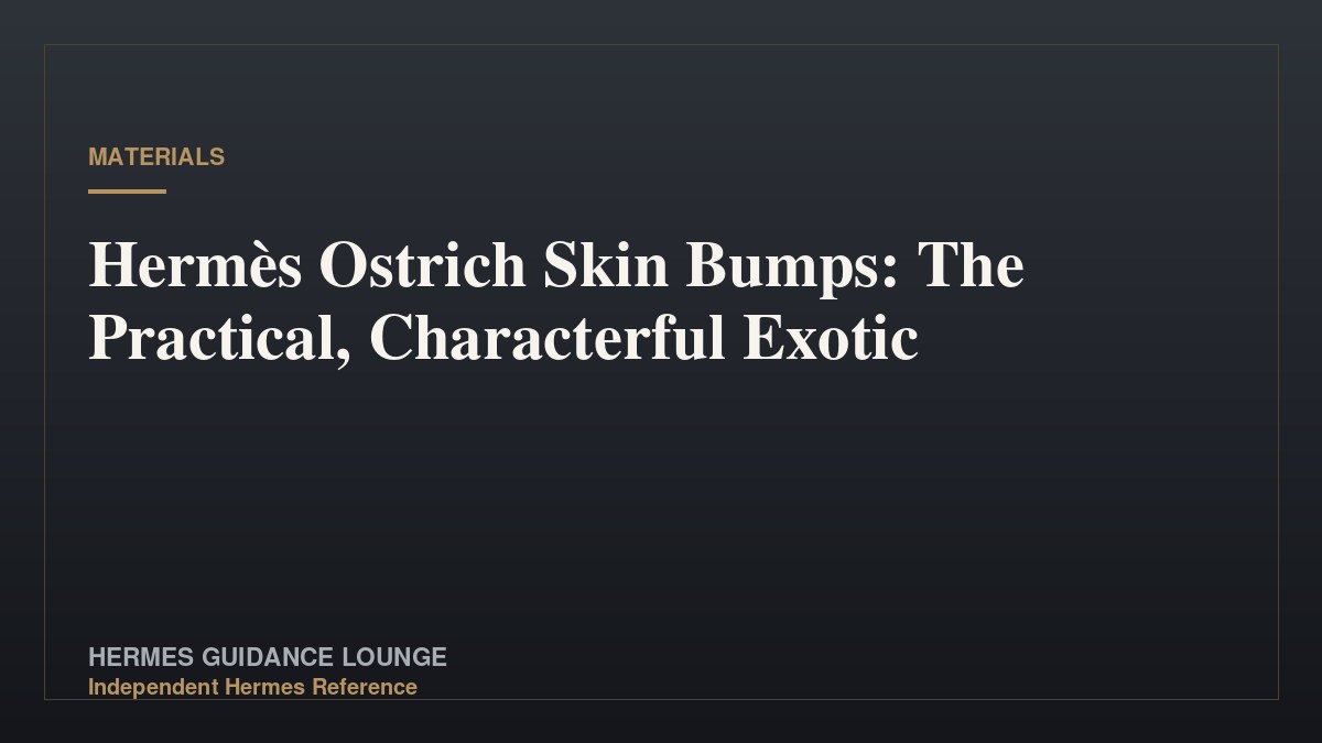 Hermès Ostrich Skin Bumps: The Practical, Characterful Exotic