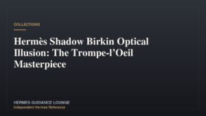 Hermès Shadow Birkin Optical Illusion: The Trompe-l’Oeil Masterpiece
