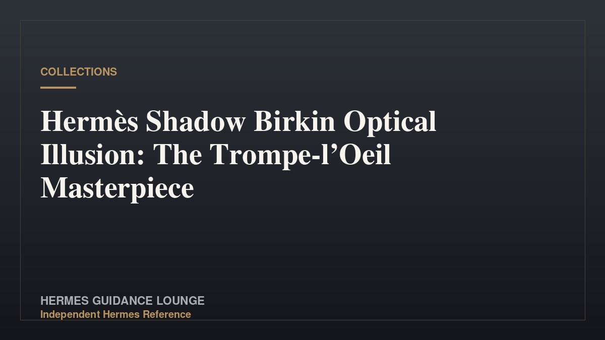 Hermès Shadow Birkin Optical Illusion: The Trompe-l’Oeil Masterpiece